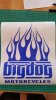 FL-1 Brilliant Blue 10x12.7.jpg