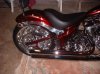 Big dog 012.jpg