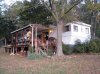 elvis and michale's new home.jpg