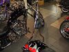 My Big Dog Motorcycle 007.jpg