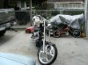 Picture 004.jpg