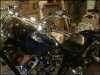 bike pics 4.jpg
