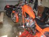 IMG_1251.jpg