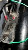 20160206_135852.jpg