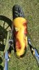 IMG_20160331_220022.jpg