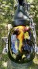 IMG_20160409_093059.jpg