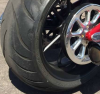 dog tire.PNG