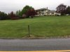 Lawn.JPG