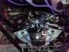 IMG_20160527_073032.jpg