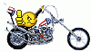 image.gif