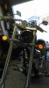 big dog.jpga.jpgb.jpg