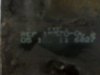 IMG00517.jpg