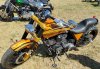 20160807BigDog.jpg