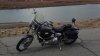 IMG_2464.jpg IMG_2464.jpg