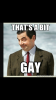 IMG_3407.PNG