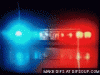 IMG_5610.GIF