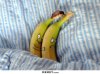 funny-bananas-spooning.jpg