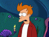 IMG_5430.GIF