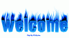 IMG_4450.GIF