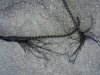 CAM01531.jpg