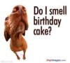 Happy birthday2.jpg