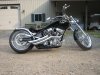 08bdm pitbull fla (7).JPG