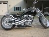 08bdm pitbull fla (8).JPG