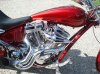 DSC00906.jpg