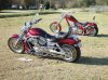 Mar. 22 2009 010 sml.jpg