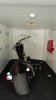 DSC00520.jpg
