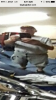 IMG_1653.PNG