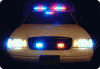 IMG_8432.GIF