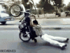 giphy (4).gif