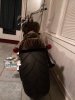 IMG_20161212_193537.jpg