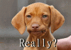 IMG_9167.GIF IMG_9167.GIF