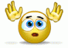 IMG_9358.GIF
