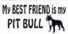 th_pitbullCA0641UZ.jpg