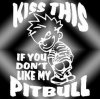 Pitbull.jpg