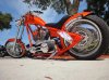 DSC00365.jpg