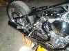 DSC02516.jpg