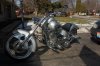 DSC_0339.jpg