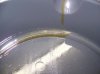 100_0486.jpg