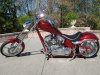 k9 red 043.jpg