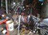 100APPLEIMG_0181.jpg