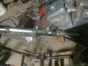100APPLEIMG_0195.jpg