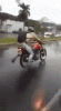 tenor (4).gif