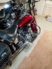 20180602_063928_resized.jpg
