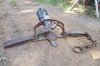Grizzly Trap-50307.jpg