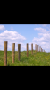 0132E314-882B-434E-9441-8AA2317C47CE.png 0132E314-882B-434E-9441-8AA2317C47CE.png