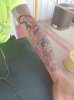 20180717_105639.jpg